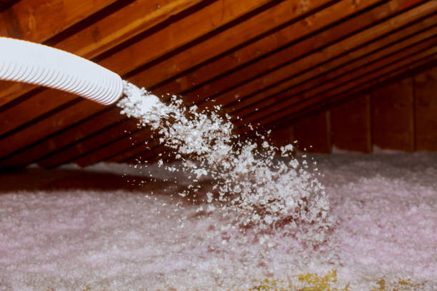 Best Spray Foam Insulation  in Cottonwood Shores, TX